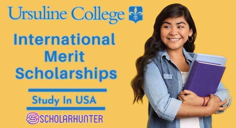 International Undergraduate Merit Scholarship Opportunity in USA