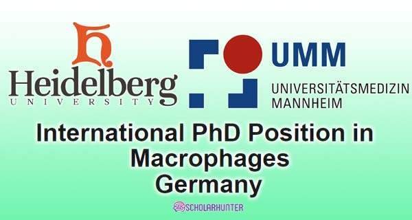 Macrophages PhD International Scholarships, Germany