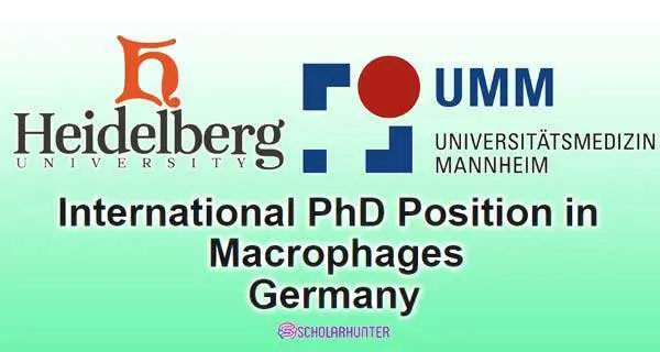 Macrophages PhD International Scholarships, Germany