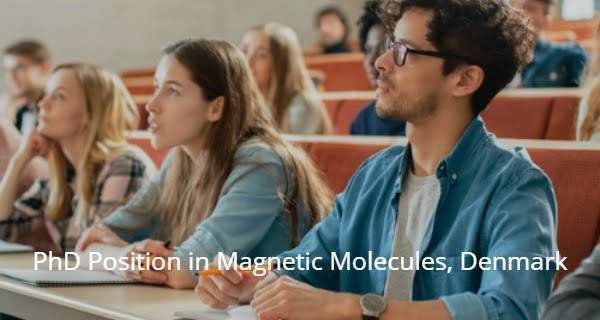 PhD Position in Magnetic Molecules for International students, Denmark