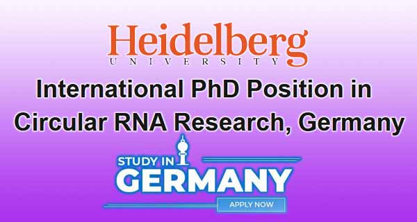 Circular RNA Research International PhD Scholarship, Germany