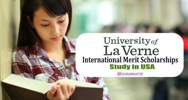 2022 International Merit Scholarships California, USA