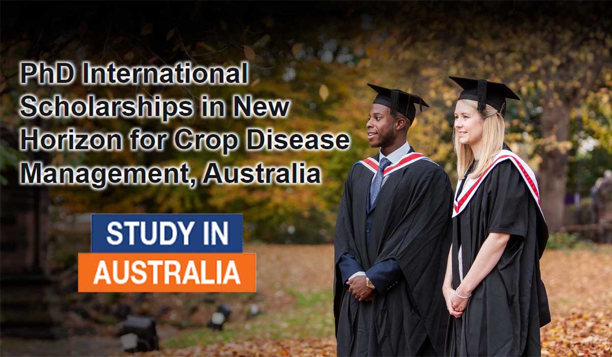 New Horizon for Crop Disease Management PhD International Scholarships Australia