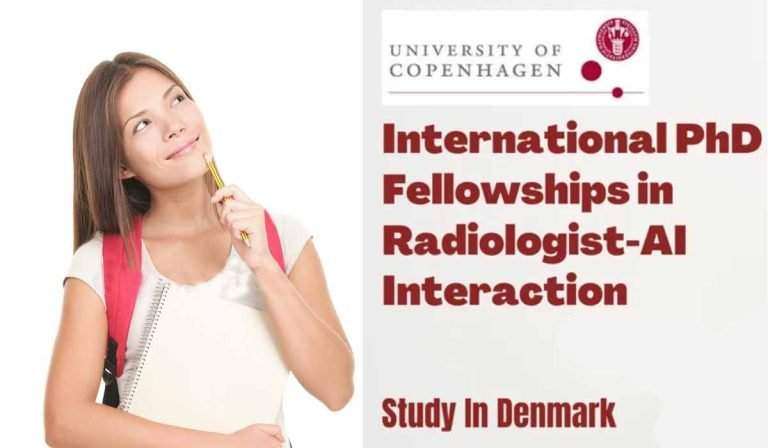 International PhD Fellowships in Radiologist-AI Interaction, Denmark