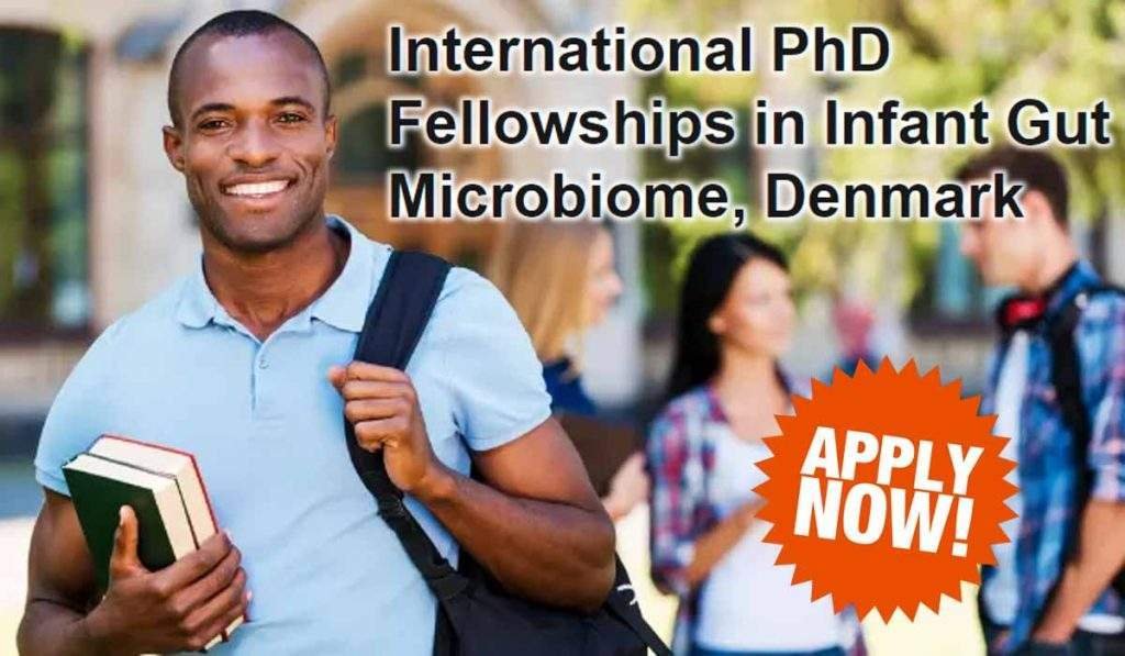 University of Copenhagen International PhD Fellowships, Denmark