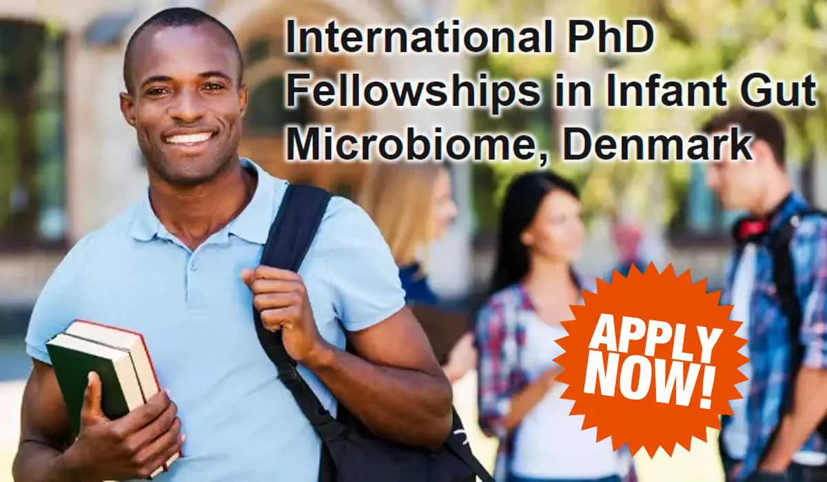 University of Copenhagen International PhD Fellowships, Denmark
