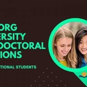 Postdoctoral Scholarships in Co-Design Optimization of Sic-Based Power Module in Denmark