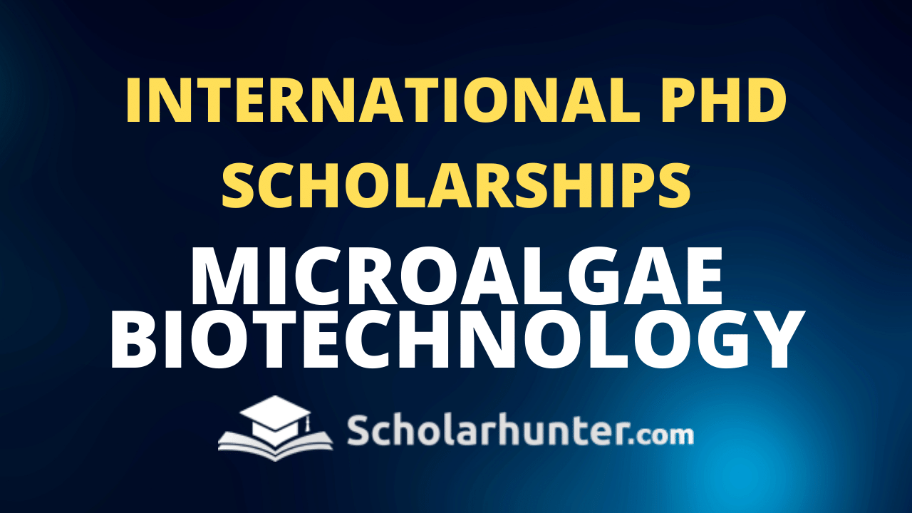 International PhD Scholarships in Microalgae Biotechnology