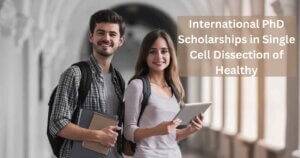 International PhD Scholarships in Single Cell Dissection of Healthy