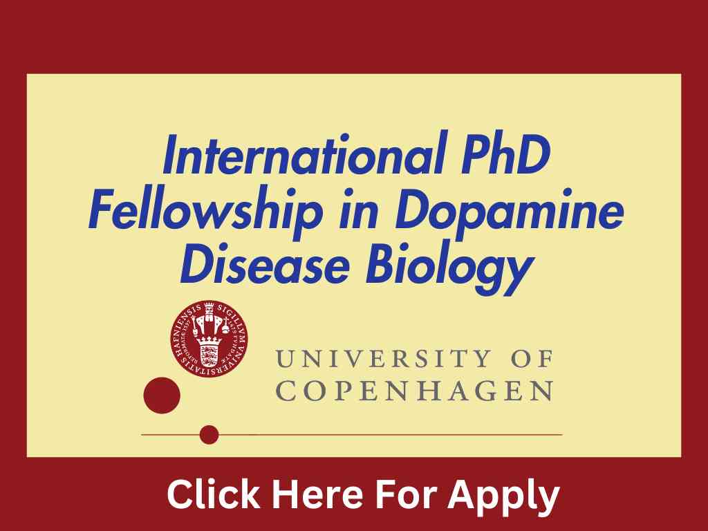 International PhD Fellowship in Dopamine Disease Biology