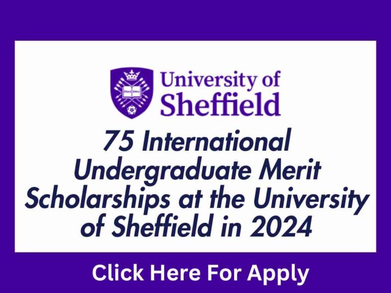 75 International Undergraduate Merit Scholarships at the University of Sheffield in 2024