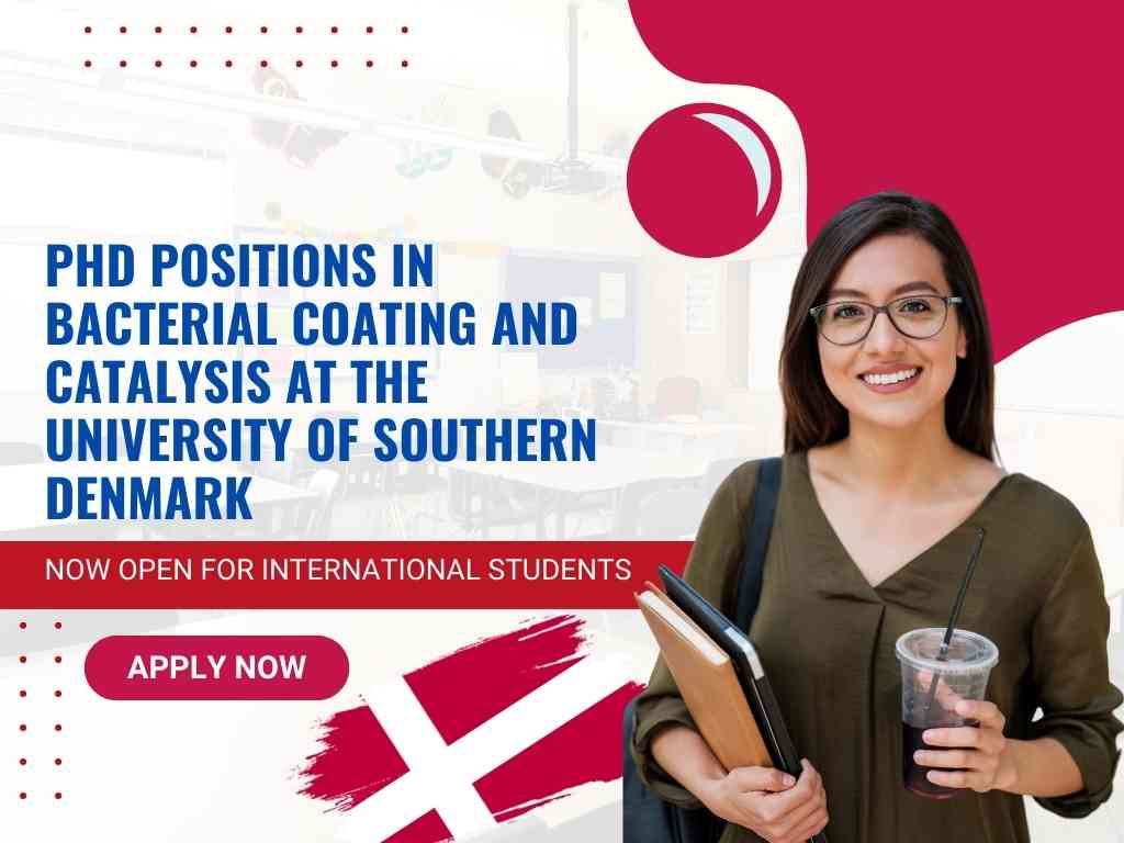USD Offers PhD Positions in Bacterial Coating and Catalysis