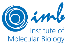 IMB International PhD Program 2024-2025 logo