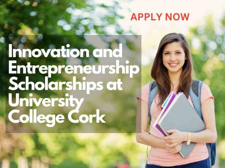 Innovation and Entrepreneurship Scholarships at University College Cork