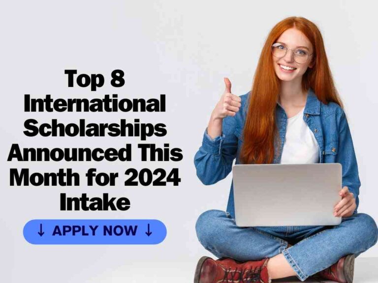 Top 8 International Scholarships Announced This Month for 2024 Intake