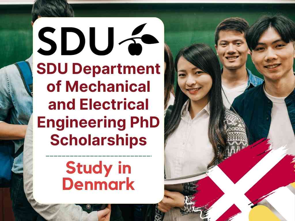 SDU PhD Scholarships 2024 for International Students