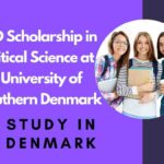 PhD Scholarship in Political Science at the University of Southern Denmark