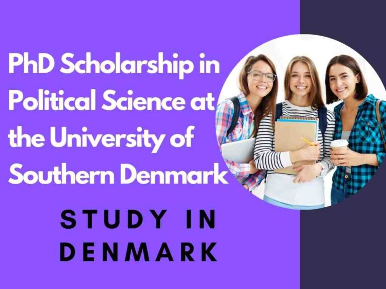 PhD Scholarship in Political Science at the University of Southern Denmark