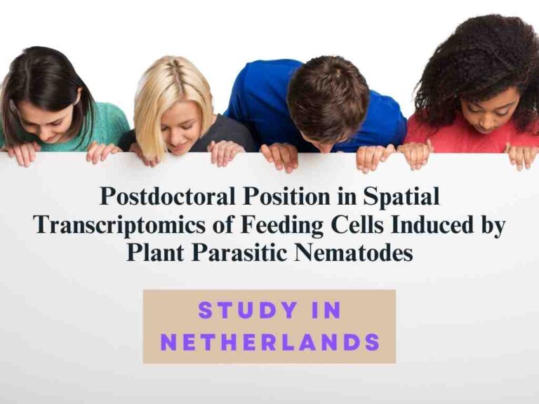 Postdoctoral Position in Spatial Transcriptomics of Feeding Cells Induced by Plant Parasitic Nematodes, Study in Netherlands