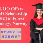 UOO Offers PhD Scholarship 2024 in Forest Ecology, Norway