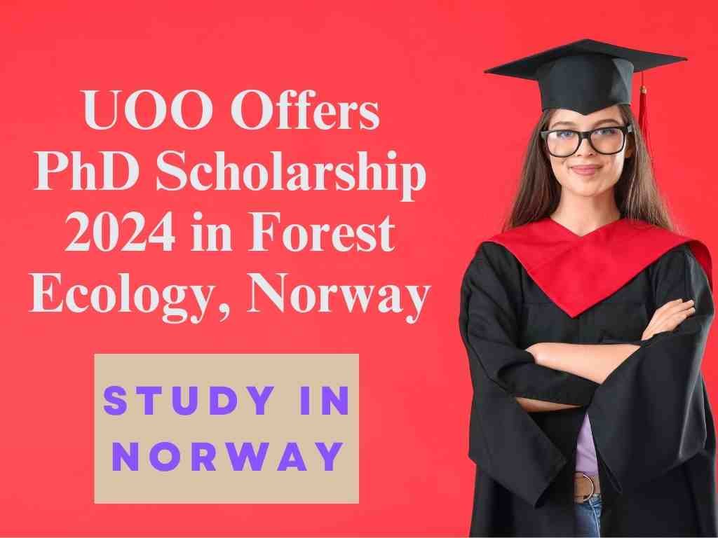 UOO Offers PhD Scholarship 2024 in Forest Ecology, Norway