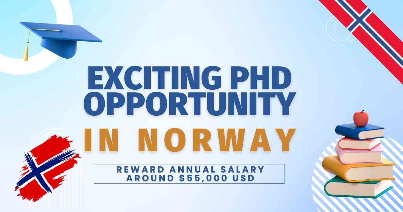 Exciting PhD Opportunity in Material Physics at University of Stavanger, Norway